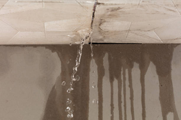 Professional Commercial Water Damage Restoration technician working in Elwood, KS